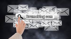 Brumeblog Com Guide